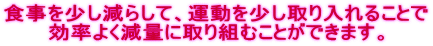 食事を少し減らして、運動を少し取り入れることで 効率よく減量に取り組むことができます。