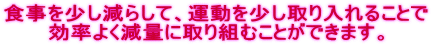 食事を少し減らして、運動を少し取り入れることで 効率よく減量に取り組むことができます。
